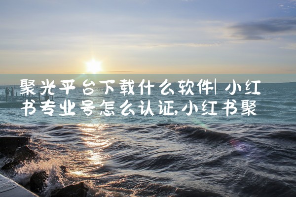 聚光平台下载什么软件|抖阴