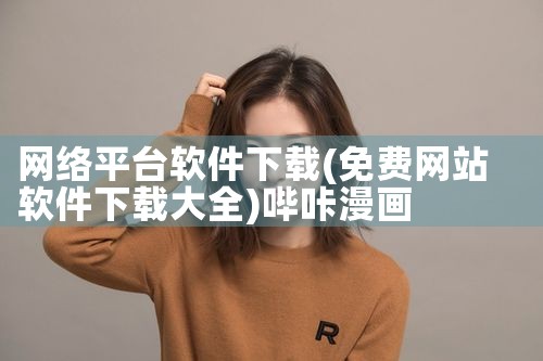 网络平台软件下载|哔咔漫画
