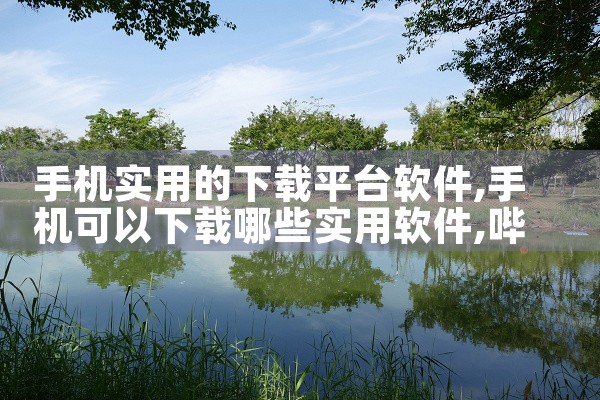 手机实用的下载平台软件|哔咔漫画
